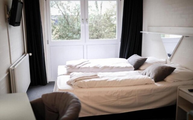 Dolphin Hotel Herning