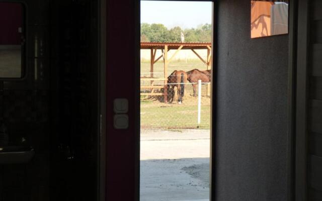 Agroturystyka Klekusiowo