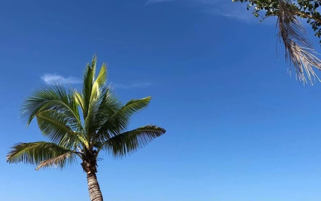 Magalong Beach Resort