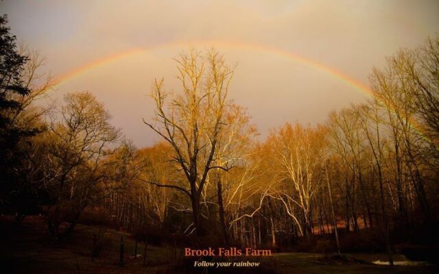 Brook Falls Farm