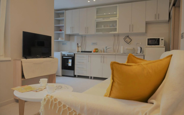 Spacious 2-bedroom apartment with luxury feel