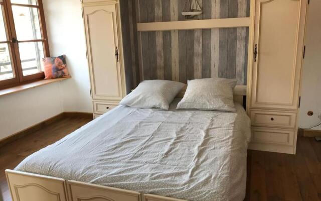 La chouette au bouleau