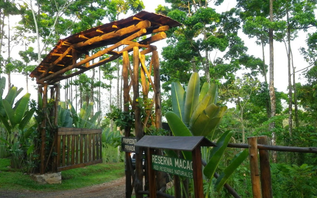 Macaw Lodge