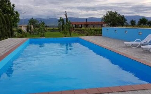 Shaloshvili's Cellar Hotel