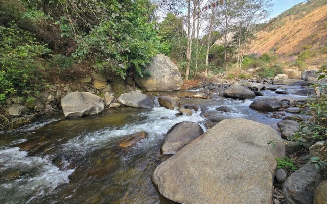 Punakha Stream Resort