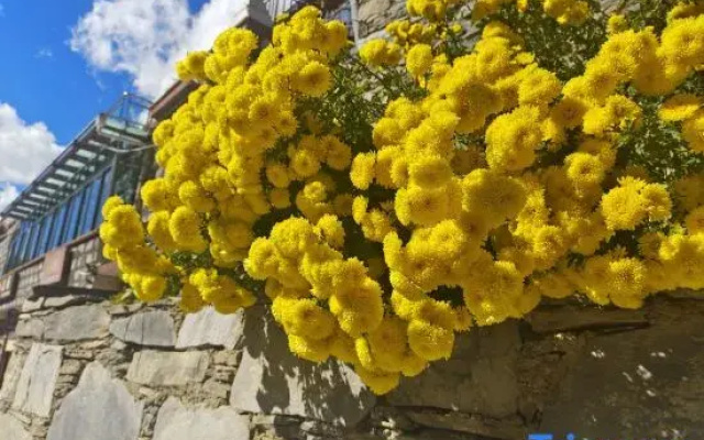 Siguniangshan Sishan Homestay
