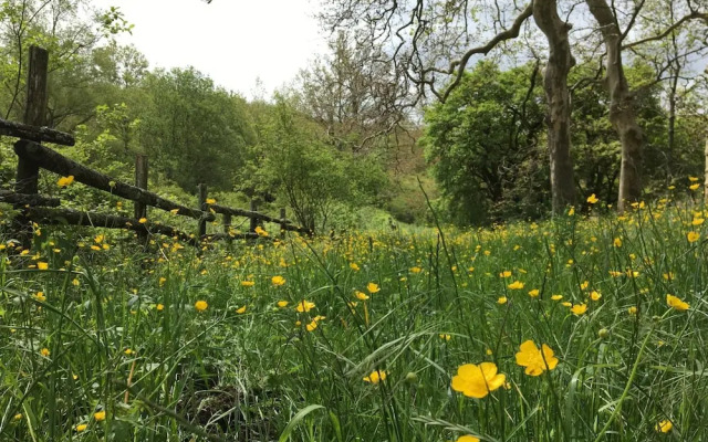 Agriturismo La Casina della Burraia