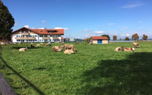 Alpenglück de Luxe Ferienwohnung am Forggensee