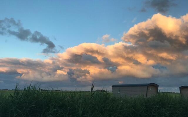 Schäferwagen Tiny House auf dem Friesenhof