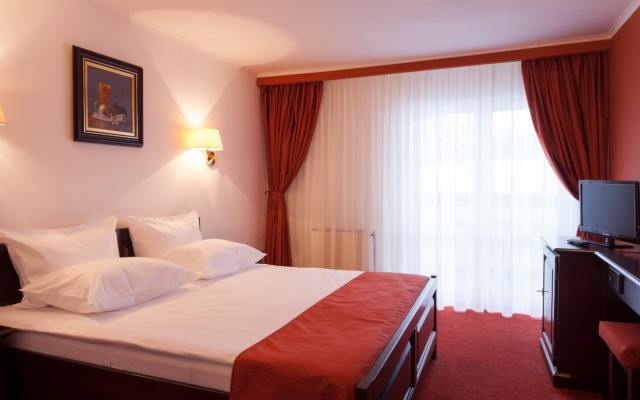 Hotel Piatra Mare