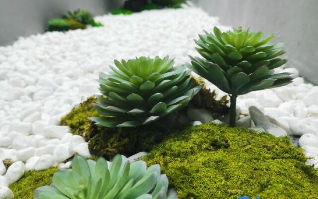 Molan Hotel (Wuyi Square IFS International Financial Center)