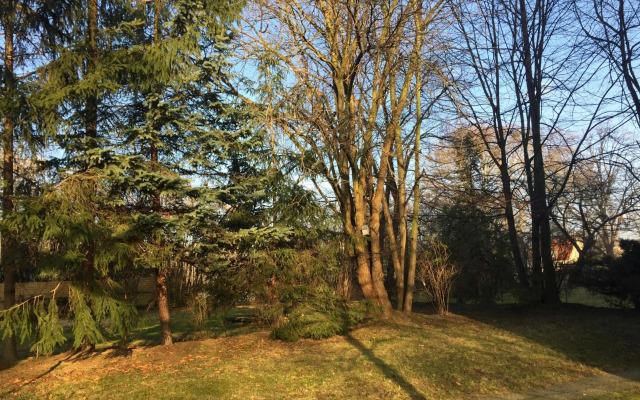 Whg./flat am Großen Garten in Dresden