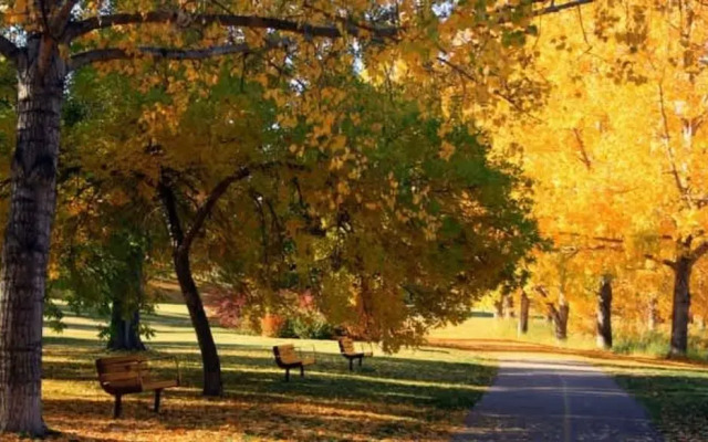 TOP 5 DT Riverside Walking Trails Free Parking