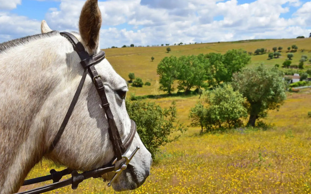 Pousada Convento de Arraiolos - Historic Hotel
