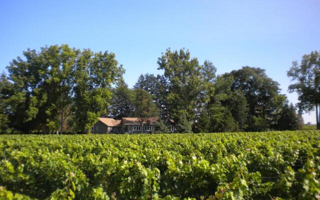 Vineyard Villa Bed & Breakfast
