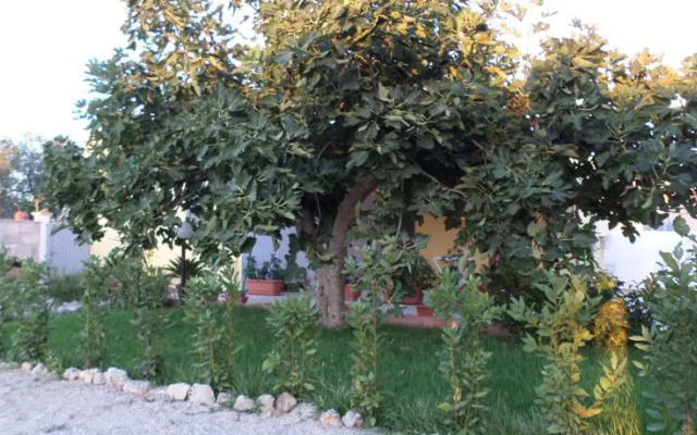 Casavacanze il Mojco