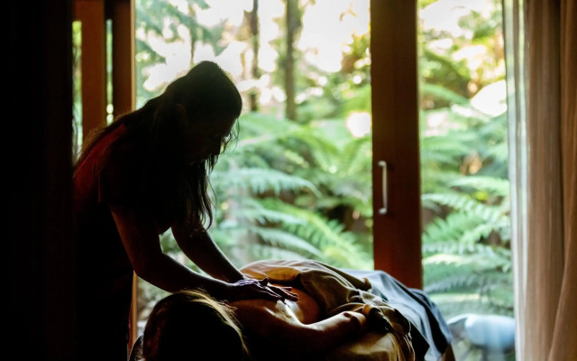 Treetops Lodge & Estate