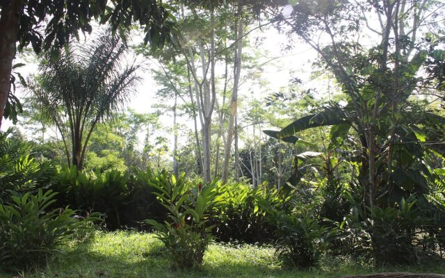 Amazon Garden Ecolodge