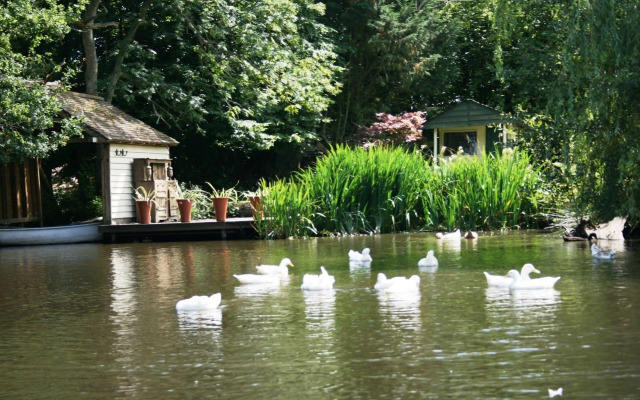Shoyswell Cottage B&B
