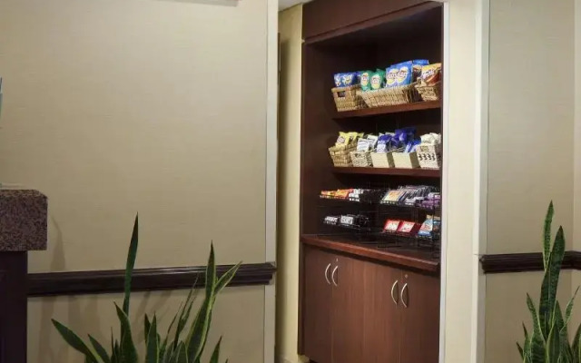 Springhill Suites By Marriott Boca Raton