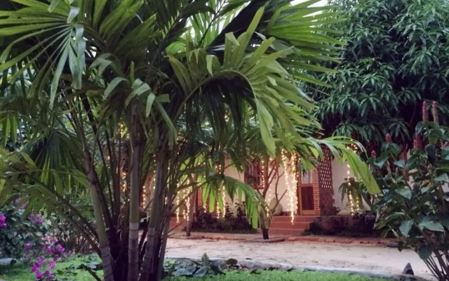 Alyssa's Garden Home