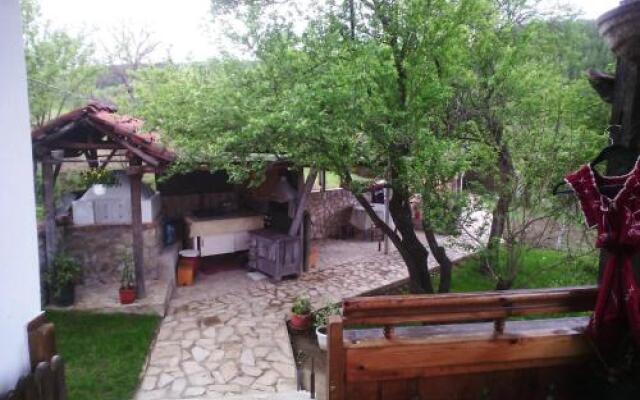 Guest House Bor