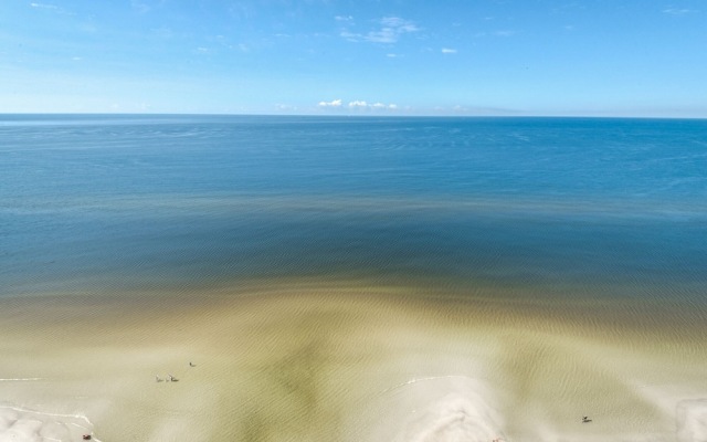 Treasure Island 2105