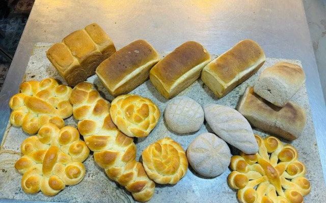 Alankuda Dolphin Village Hotel