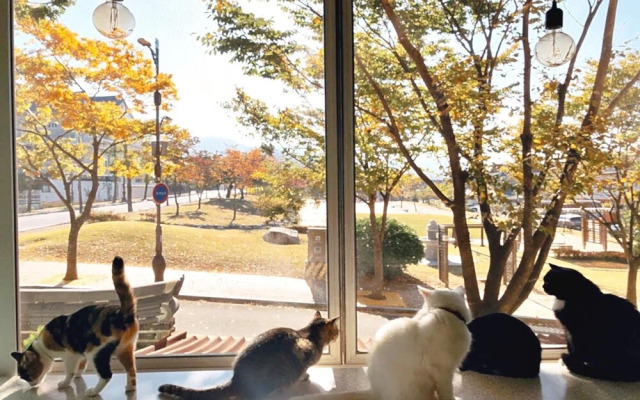 Gyeongju Pyeonggwanhun Guest House