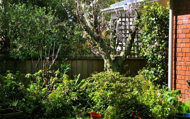 Art BnB Devonport