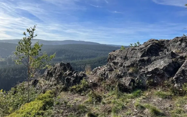 Tannenausblick Schmidt