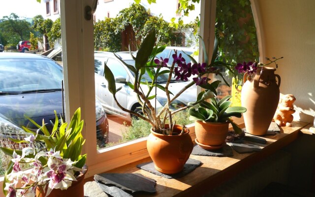 Hotel-Weingut Karlsmühle