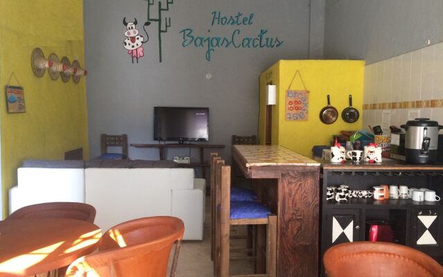Baja's Cactus Hostel