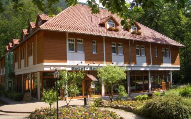 Kurpark-Hotel Im Ilsetal