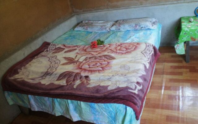 Tanna Horizon Bungalows & Tours