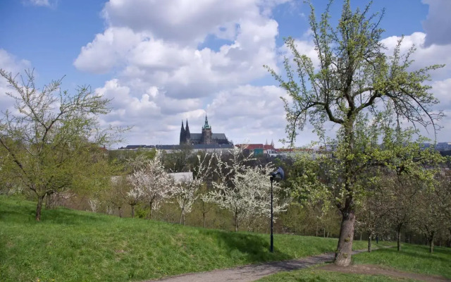 Park View - a digital Nomad's dream