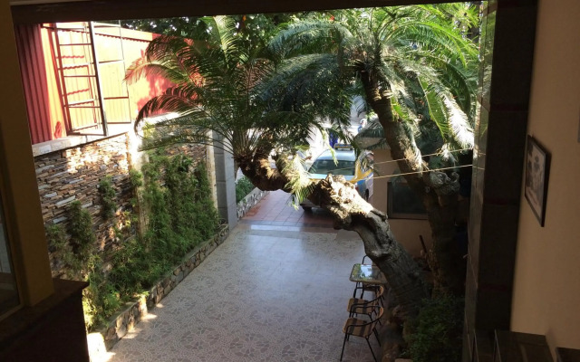Chio Hotel and Apartment