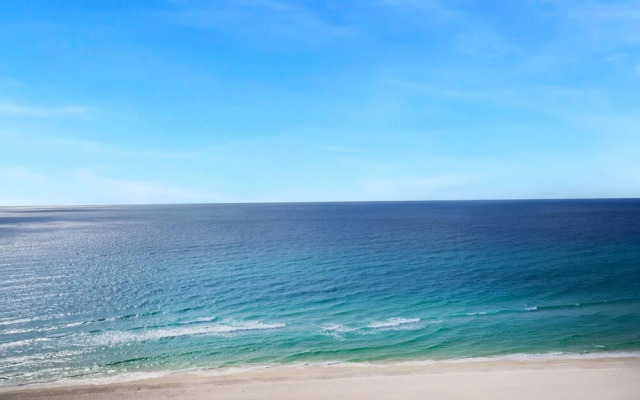 Hidden Dunes 1503 - Funky Monkey