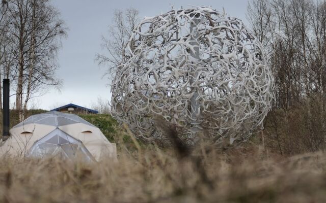 Wild Caribou Dome