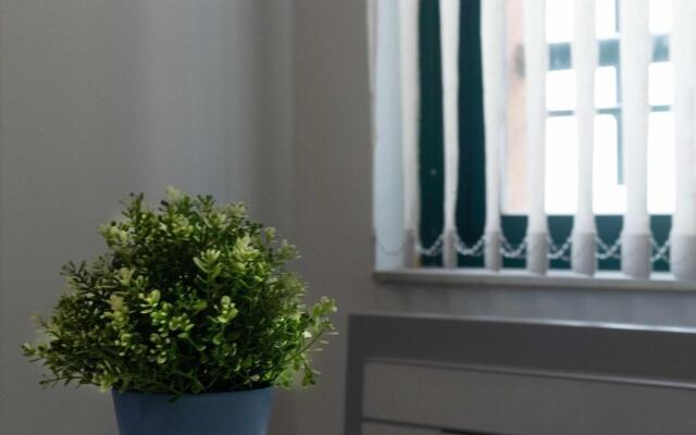 Estudio 19 Bajo reformado