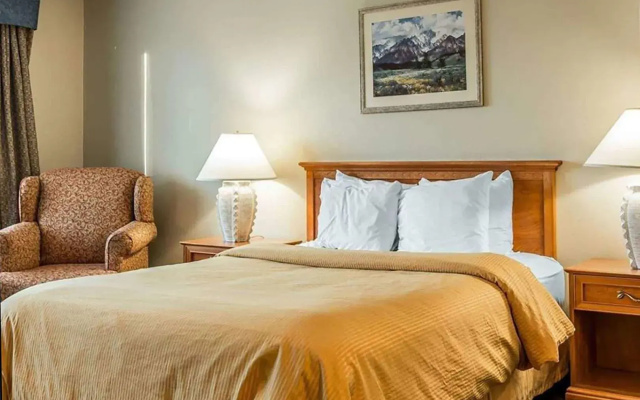 Stockton Inn