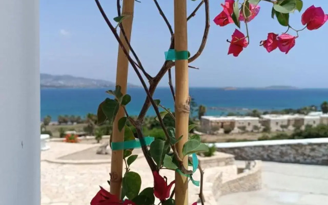 Rose's House