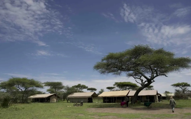 The Royal Migration Camp - All Inclusive