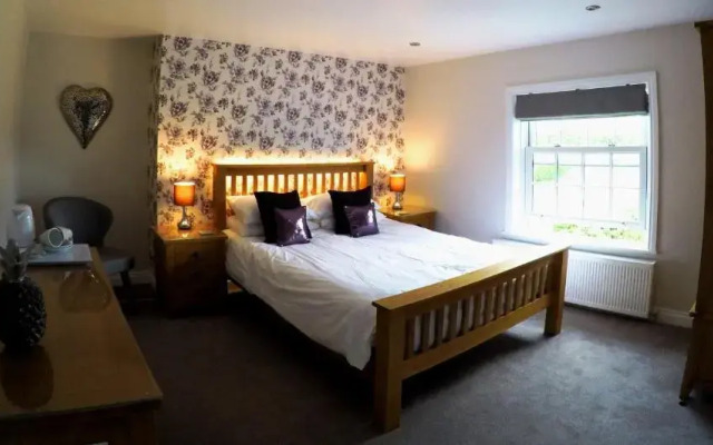 The Vine B & B