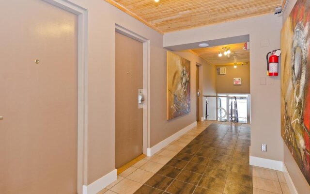 M Lofts