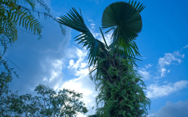 Phong Nha Friendly Home