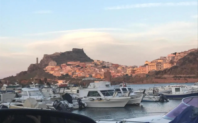 Gemma delle Mimose 6A