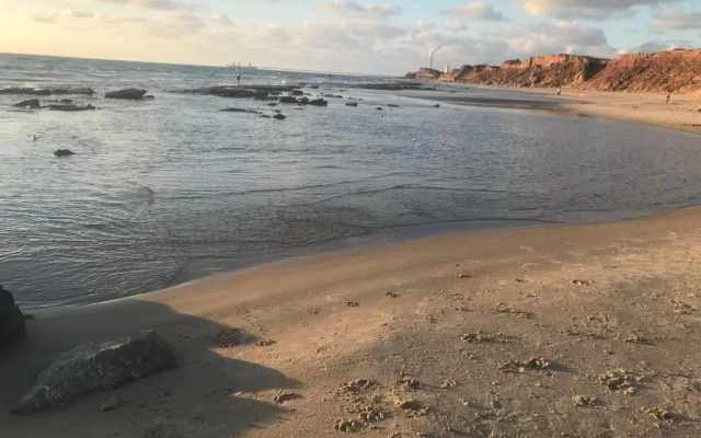 Caravans Through The Nature