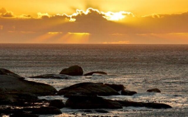 Camps Bay Terrace Palm Suite