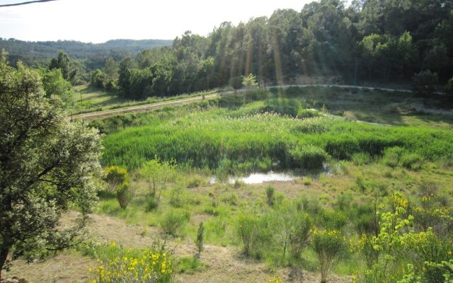 Beautiful Holiday Home in Barjols With Swimming Pool